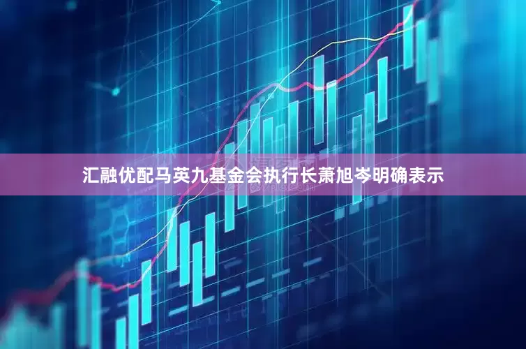 汇融优配马英九基金会执行长萧旭岑明确表示