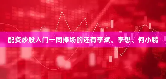 配资炒股入门一同捧场的还有李斌、李想、何小鹏