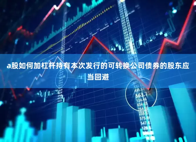 a股如何加杠杆持有本次发行的可转换公司债券的股东应当回避