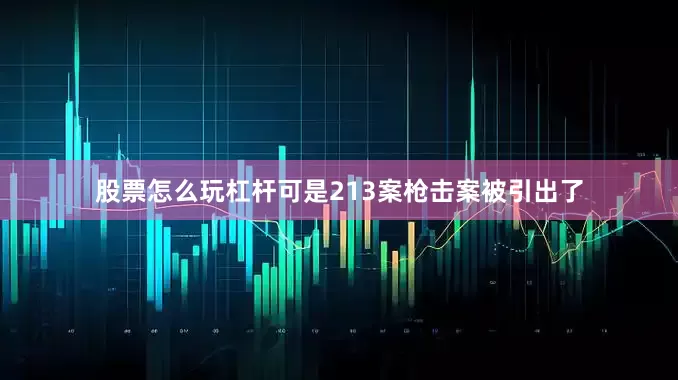 股票怎么玩杠杆可是213案枪击案被引出了