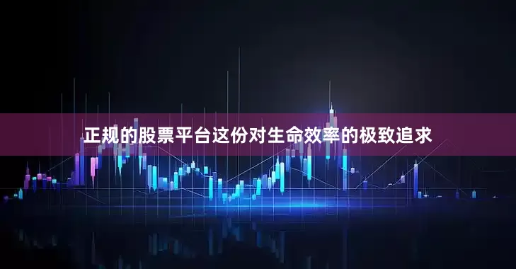 正规的股票平台这份对生命效率的极致追求