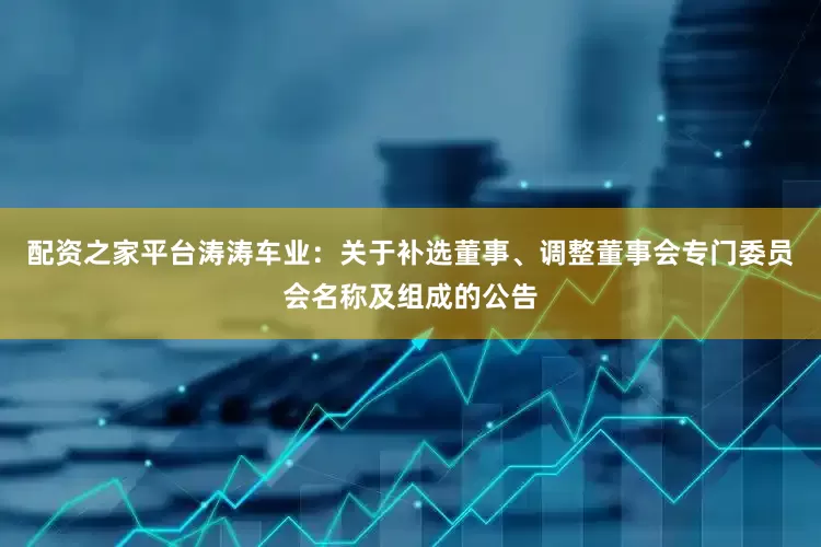 配资之家平台涛涛车业：关于补选董事、调整董事会专门委员会名称及组成的公告
