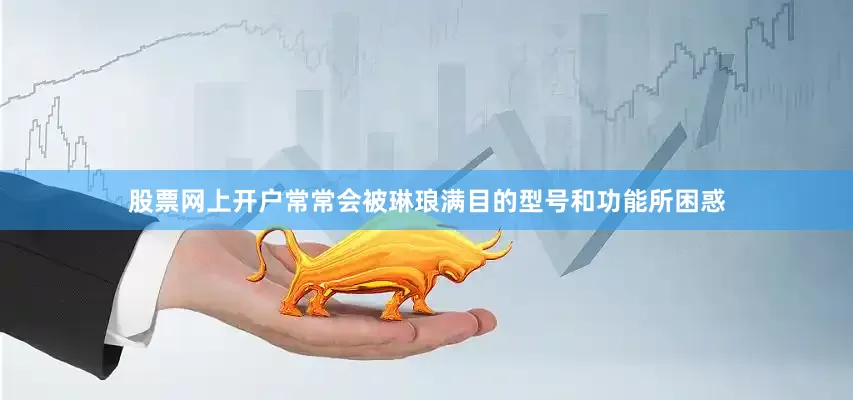 股票网上开户常常会被琳琅满目的型号和功能所困惑
