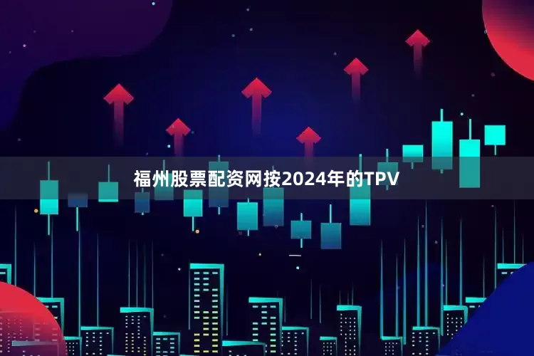 福州股票配资网按2024年的TPV